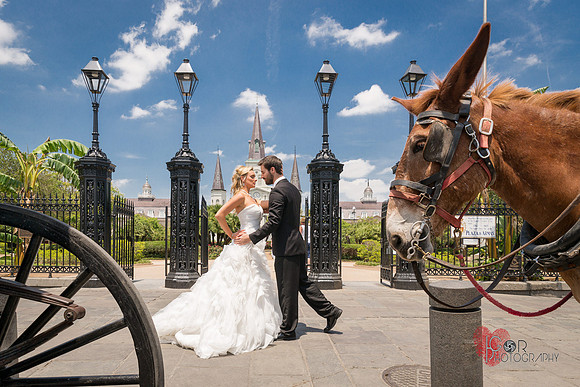 wedding photographers dallas